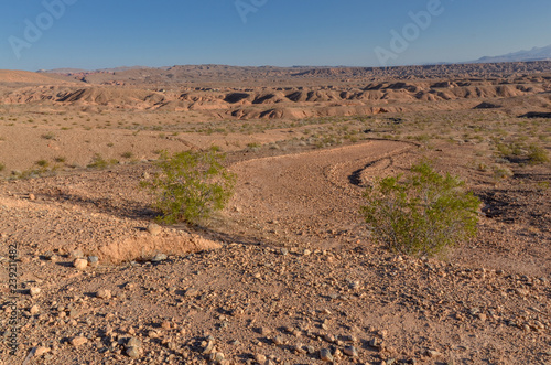 Canvas Print Moapa Valley view from Overton Ridge Lake Mead National Recreation Area, Nevada,