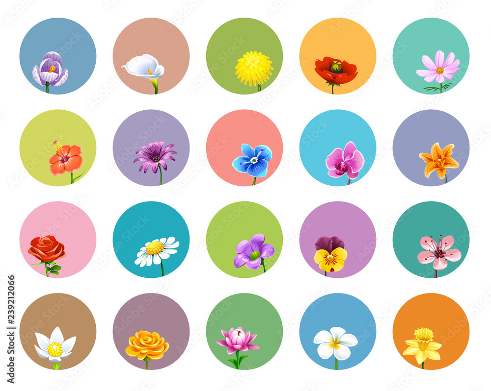 Obraz premium vector set of labels with flowers roses daisies buds lilies orchids