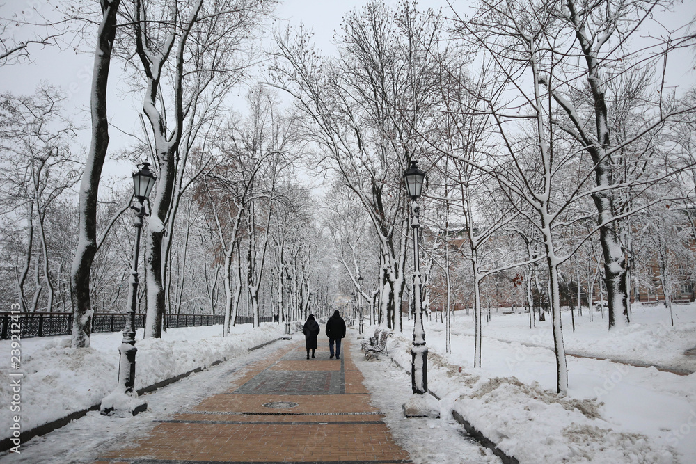 walk in the park walk in the park