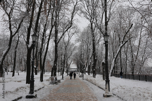 alley in the park