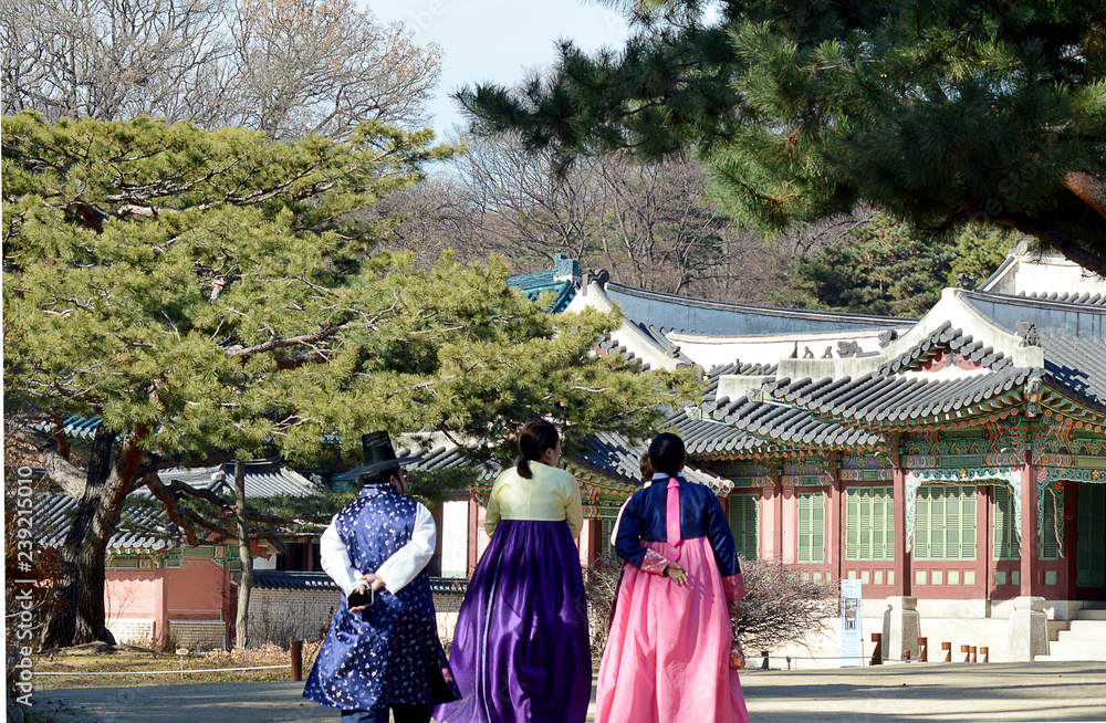 Traditional Korean hanbok dresses being worn at royal palace, Seoul, South Korea Traditional Korean hanbok dresses being worn at royal palace, Seoul, South Korea