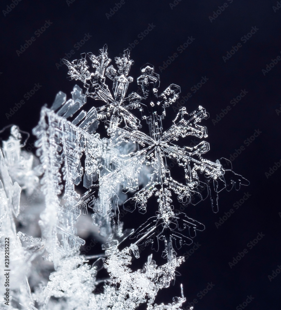 natural snowflakes on snow, winter natural snowflakes on snow, winter