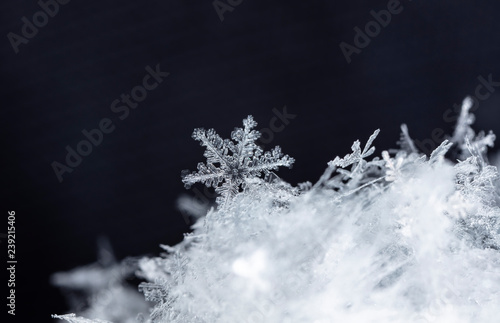 natural snowflakes on snow, winter © vadim_fl