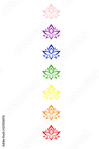 Vector multicolored lotus flowers. Chakras concept. Ethnic oriental ornament