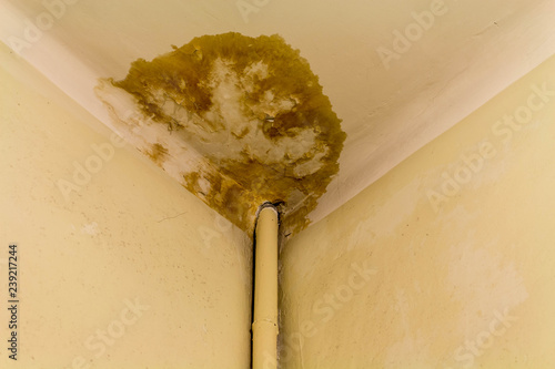 Peeling paint on the ceiling. Rusty water leaking pipe. Repair is required.