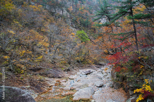 AUTUMN IN SEORAKSAN SOUTH KOREA