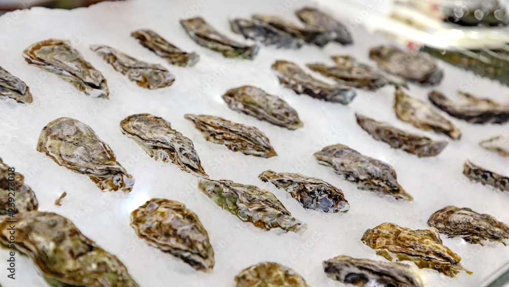 Obraz premium Oysters are on the ice in the shop window