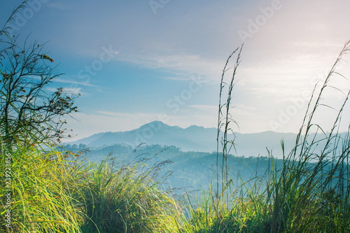 Beautiful view from little Adams peak at Sri Lanka. Fresh nature background. High mountain with trees, blue sky.