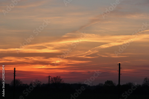 silhouette of power lines and trees in front of dramatic red sky