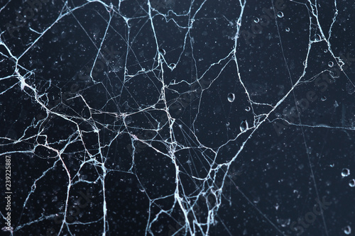 bright spiderwebs and water drops forming a unique pattern