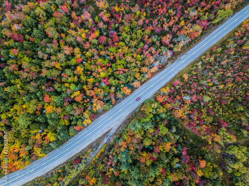Rainbow Road
