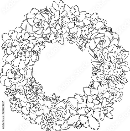 Seamless floral doodle background pattern in vector. Coloring book page for adult and kids. Round zentangle patterns.