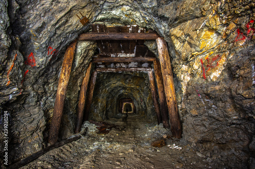 Obraz na płótnie Old gold mine w salonie