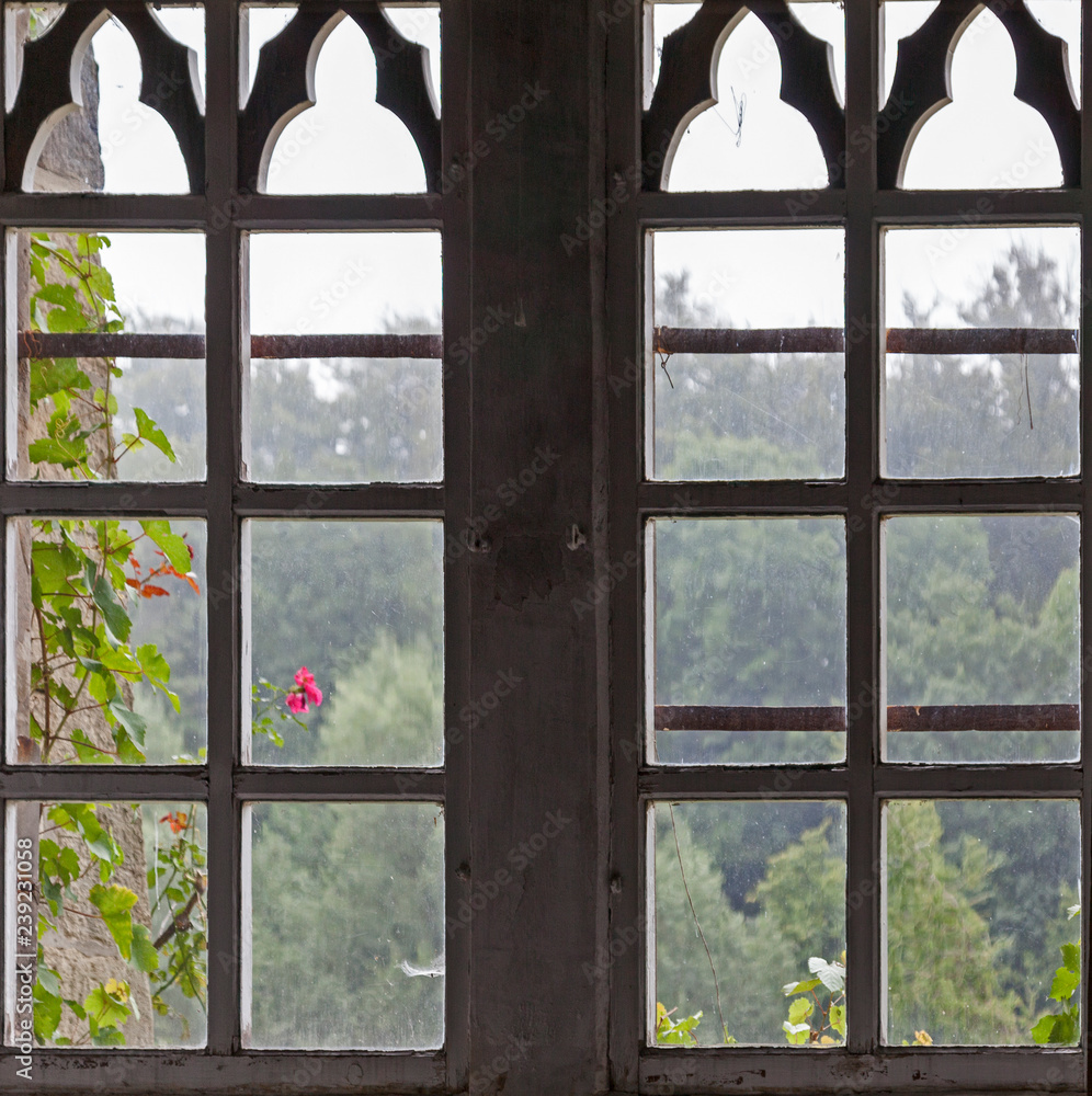 Fototapeta premium Fenster