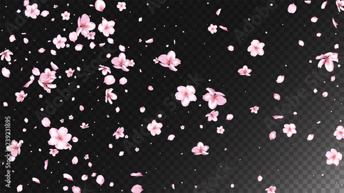 Nice Sakura Blossom Isolated Vector. Spring Falling 3d Petals Wedding Paper. Japanese Bokeh Flowers Illustration. Valentine, Mother's Day Tender Nice Sakura Blossom Isolated on Black