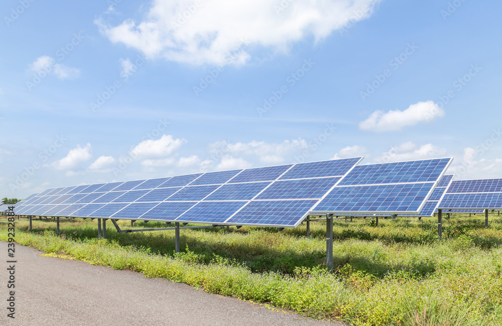 rows array of solar cells or photovoltaics in solar power station alternative clean renewable energy under blue sky rows array of solar cells or photovoltaics in solar power station alternative clean renewable energy under blue sky
