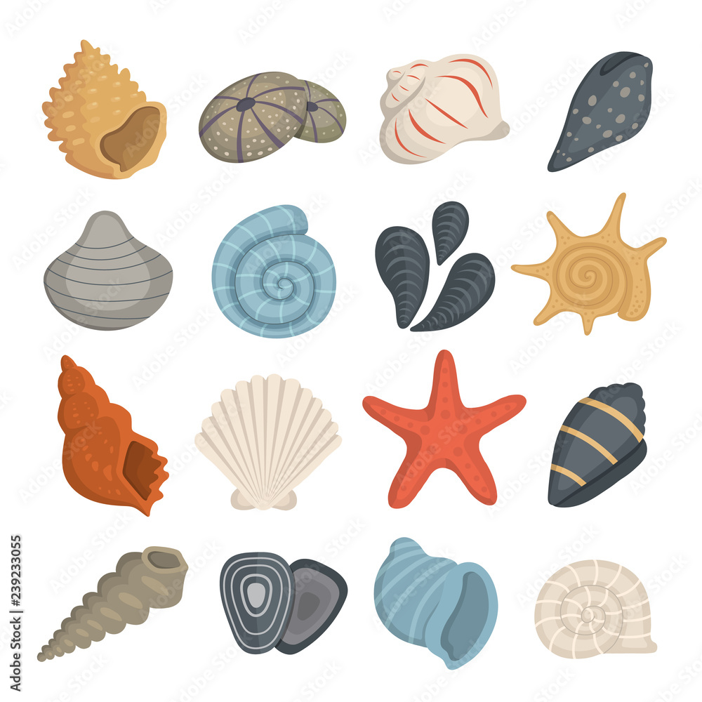 Fototapeta premium Sea shell vector icons in cartoon style. Set of clam mollusc. Ocean cockleshell.
