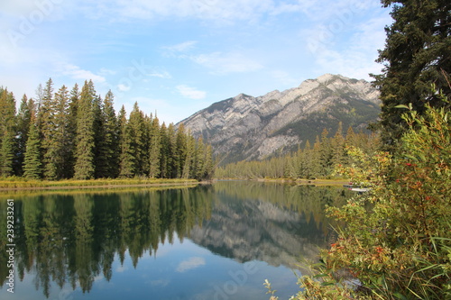 Peace Along The Bow River  Banff National Park  Alberta