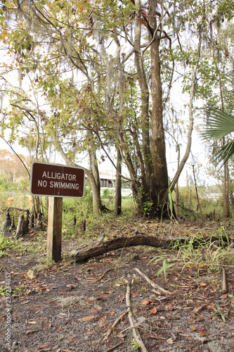 Alligator No Swimming Sign