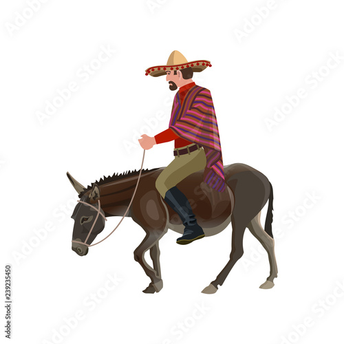 Man riding donkey