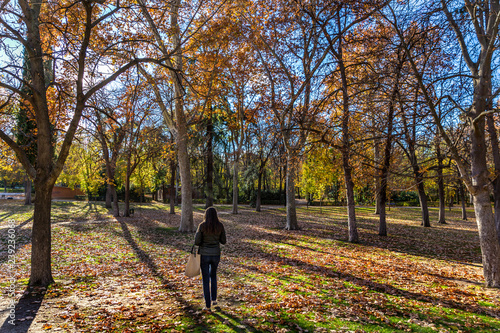 Young woman walking through the red leaves trees in Madrid, capital of Spain in a late sunset