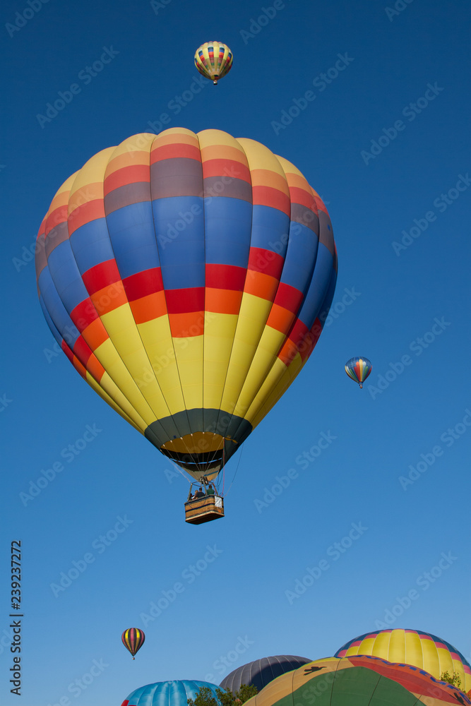 Fototapeta premium Colorful hot air balloons in the sky over Temecula