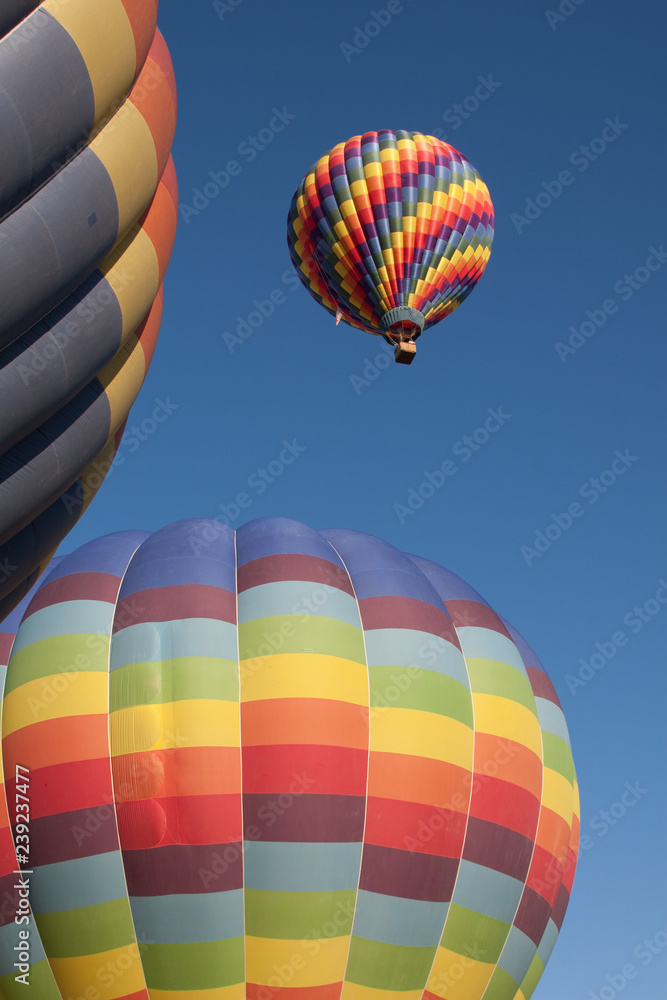 Obraz premium Colorful hot air balloons in the sky over Temecula