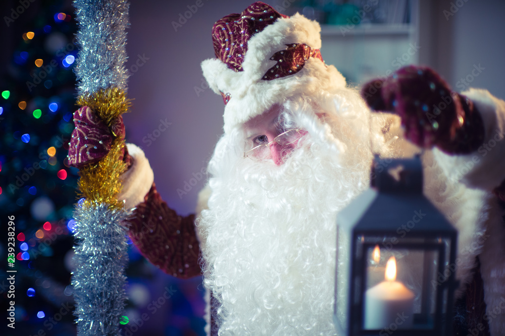 Portrait of Santa Claus in a red suit on the background of the Christmas tree. Portrait of Santa Claus in a red suit on the background of the Christmas tree.