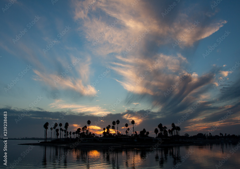 Iconic California Sunset with Palm Trees over Mission Bay San Diego