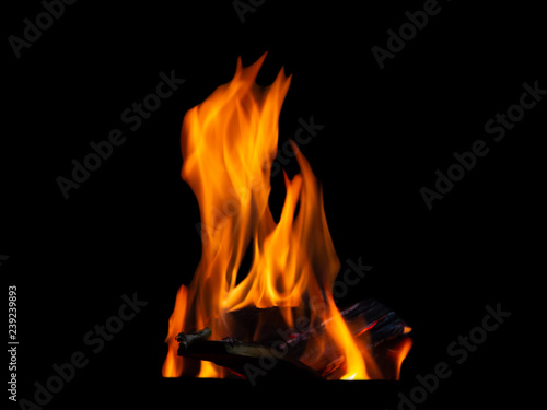 Flame bonfire made of firewood close up isolated on black background