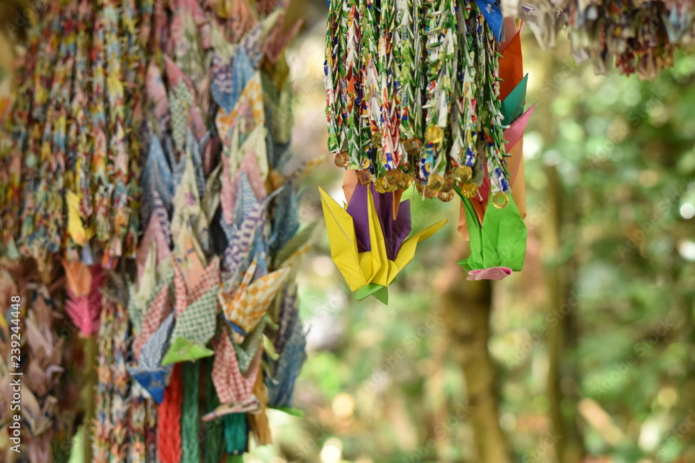 Fototapeta premium 千羽鶴