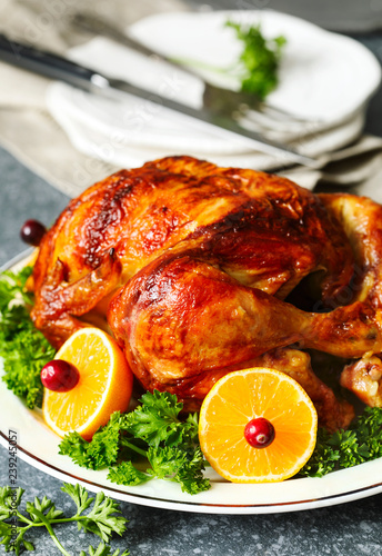 Roasted chicken served with citrus and cranberry on plate