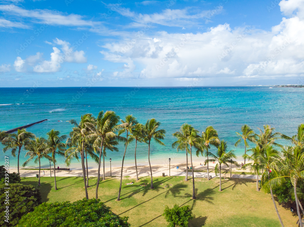 Palm trees and beach