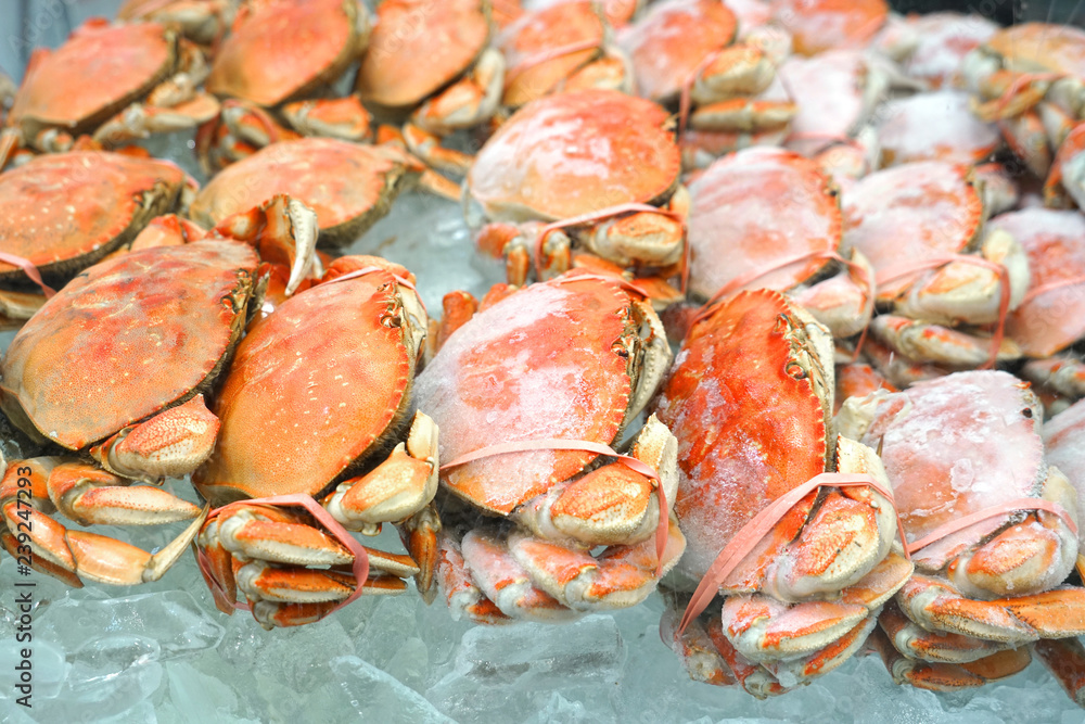 Frozen cooked red crab on the ice for sale
