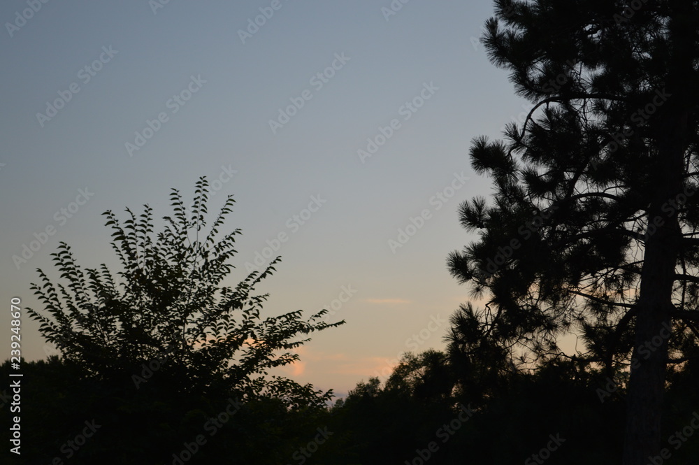 Fototapeta premium Sunset2