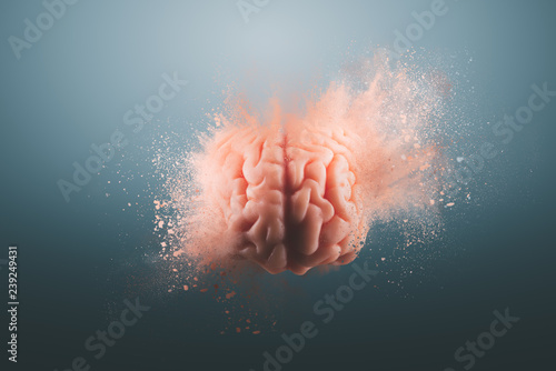 Leinwand Poster Human brain on a gray background
