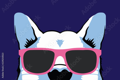 Nice isolated dog animal in pink glasses on purple background vector illustration