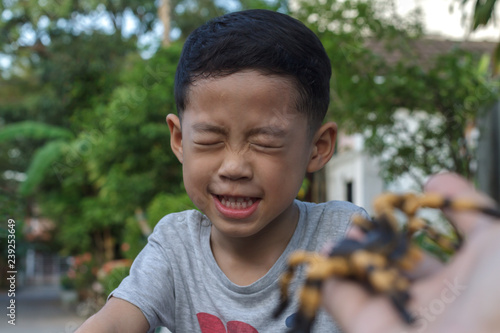 Father give Mexican red knee tarantula to his son as pet but little boy fearly the spider. Asian child with black hair age 4 years old afraid big animal on his father's hand. Selective focus