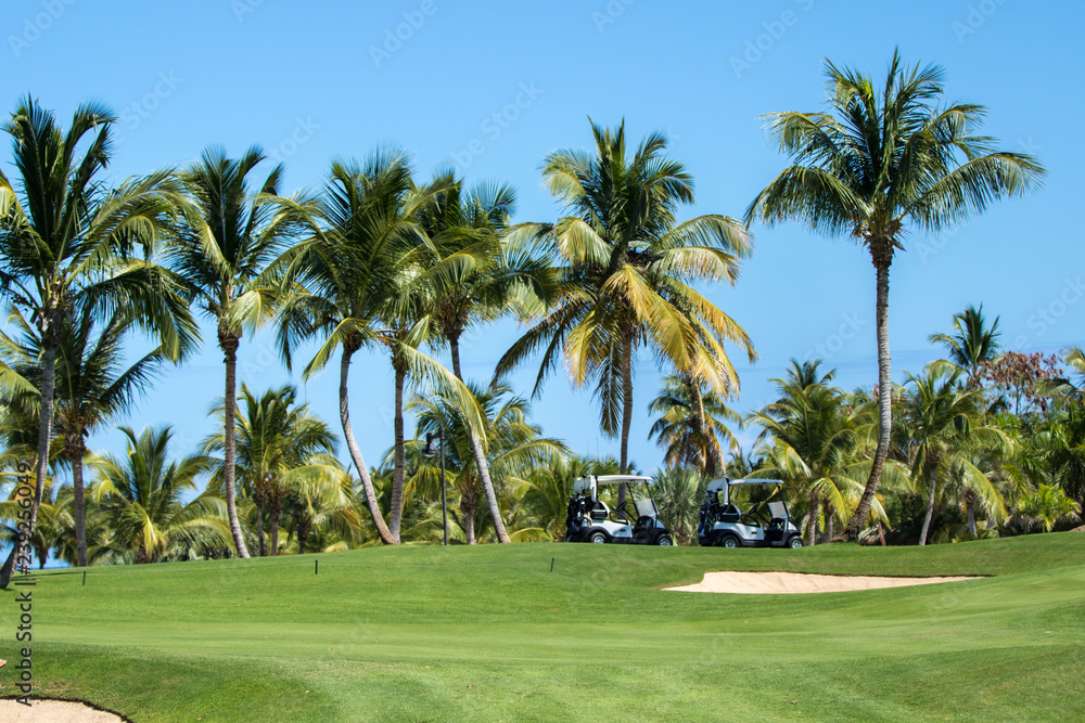 Golf Course with carts parked by coconut trees Golf Course with carts parked by coconut trees