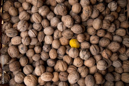 Walnuts background. Walnuts texture. Group walnuts on wooden background. Healthy organic food concept. Top view. View above