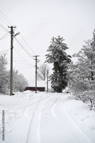 Snowstorm in countryside near Kiev.