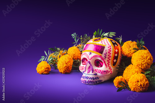 sugar skull in a purple background