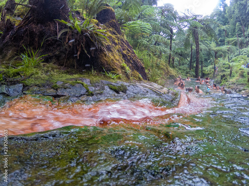 Fototapeta Naklejka Na Ścianę i Meble -  RIBEIRA GRANDE - PORTUGAL, AUGUST 5: Unidentified people bathe in the lower hot springs of the Caldeira Velha hot springs near Lagoa do Fogo and Ribeira Grande, Portugal on August 5, 2017.