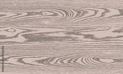 Wood texture. Dry wooden overlay texture. Design background. Vector illustration.