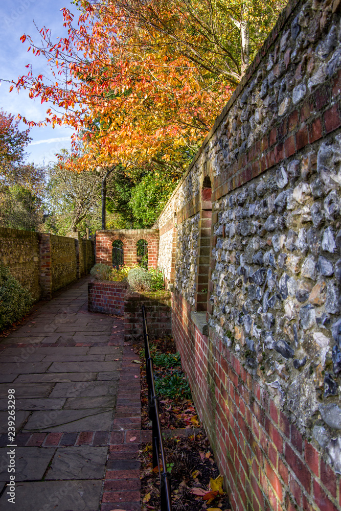 Portrait view of pedestrian path in city park . Canterbury, United Kingdom.