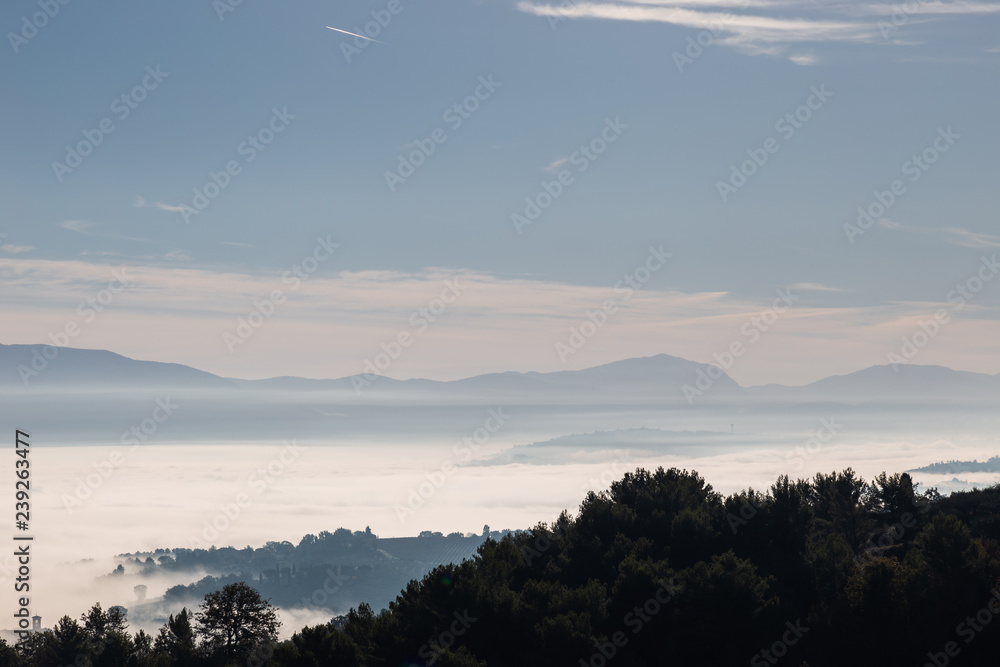 Fog filling a valley in Umbria (Italy), with layers of mountains and hills, trees in the foreground and various shades of blue