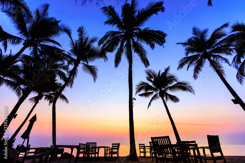 background landscape silhouette coconut and table food © SHUTTER DIN