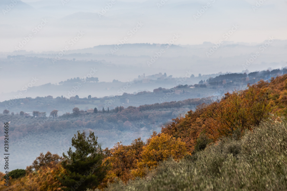 Fog filling a valley in Umbria (Italy), with layers of mountains and hills and trees in the foreground with typical autumn colours