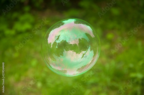 soap bubble