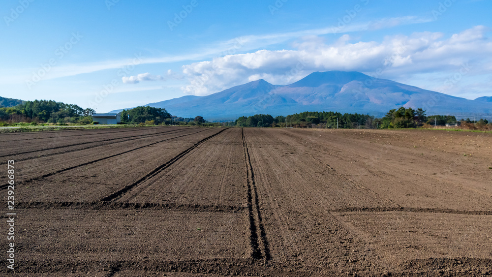 軽井沢の田園風景　秋